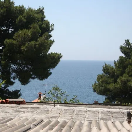 Apartment Apartments By The Sea Bilo, Primosten - 3090