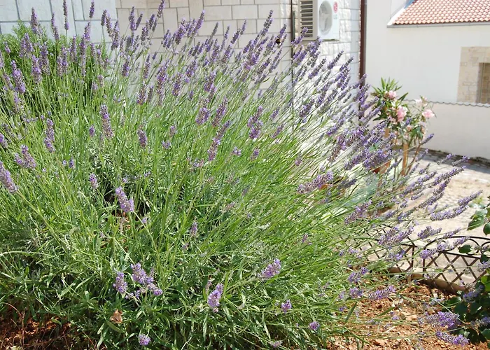 By The Sea Bilo, - 3090 דירה *